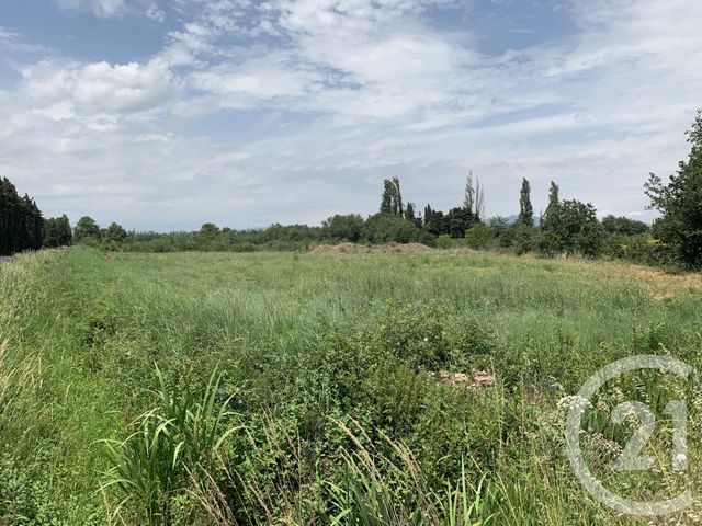 Afficher la photo en grand terrain à vendre - 7482.0 m2 - CASTELNOU - 66 - LANGUEDOC-ROUSSILLON - Century 21 Terres Catalanes