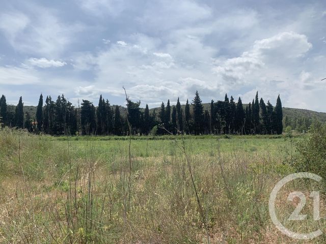 Afficher la photo en grand terrain à vendre - 7482.0 m2 - CASTELNOU - 66 - LANGUEDOC-ROUSSILLON - Century 21 Terres Catalanes