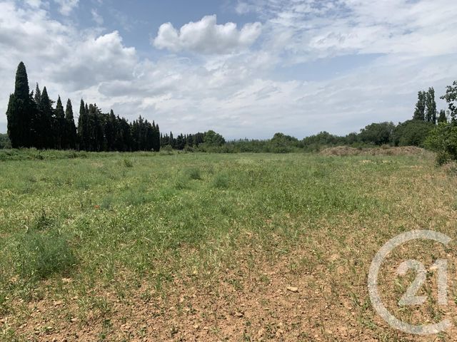 Afficher la photo en grand terrain à vendre - 7482.0 m2 - CASTELNOU - 66 - LANGUEDOC-ROUSSILLON - Century 21 Terres Catalanes
