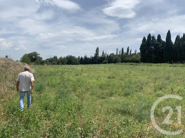 Afficher la photo en grand terrain à vendre - 7482.0 m2 - CASTELNOU - 66 - LANGUEDOC-ROUSSILLON - Century 21 Terres Catalanes