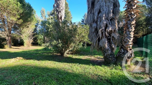 terrain à vendre - 1796.0 m2 - MONTESCOT - 66 - LANGUEDOC-ROUSSILLON - Century 21 Terres Catalanes